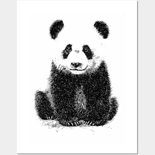 Cute Panda Posters and Art